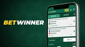 The Comprehensive Guide to BetWinner Bookmaker The Comprehensive Guide to BetWinner Bookmaker